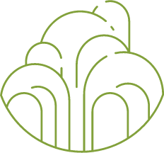 Segni dell'elemento terra Segni dell'elemento terra